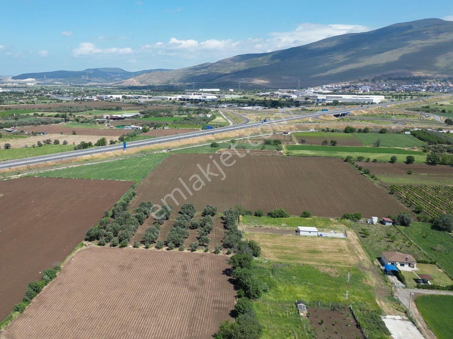 İzmir-eski Foça Duble Yolu Üzerinde Satılık Fırsat Tarla - Görsel 29