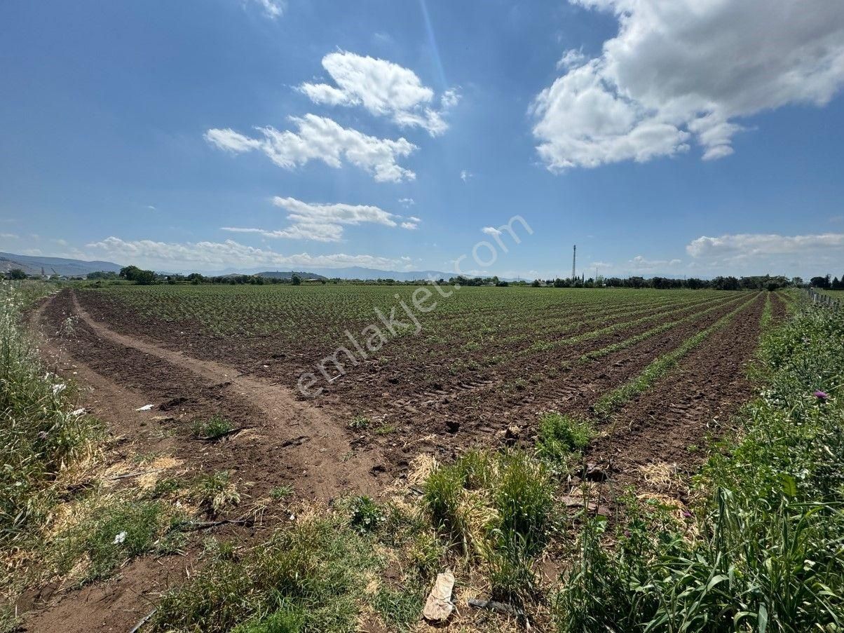 İzmir-eski Foça Duble Yolu Üzerinde Satılık Fırsat Tarla - Görsel 16