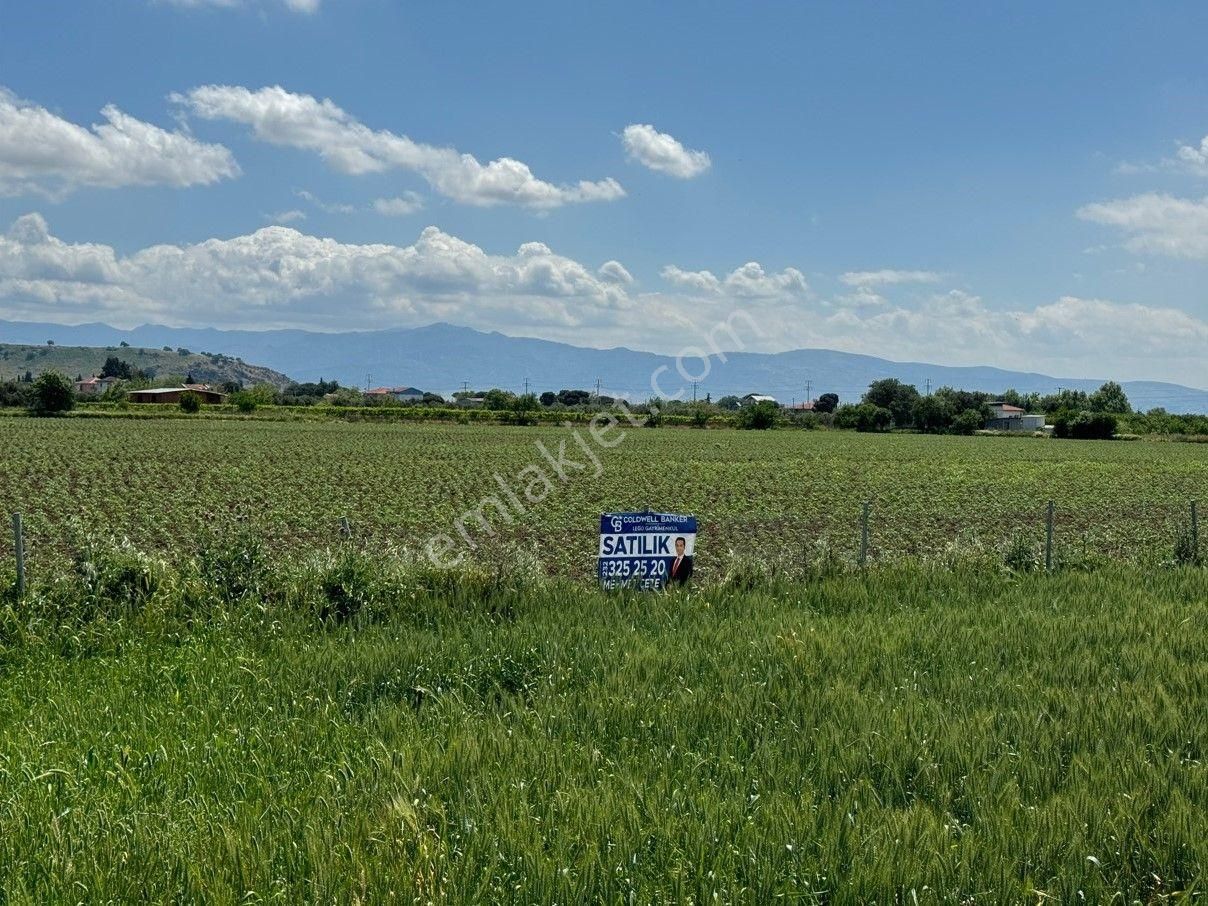 İzmir-eski Foça Duble Yolu Üzerinde Satılık Fırsat Tarla - Görsel 21