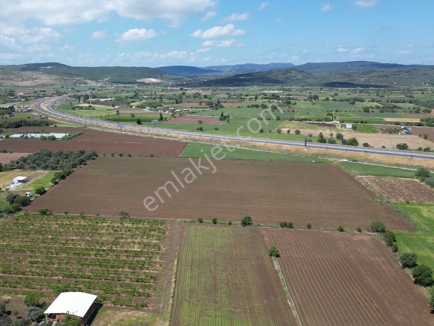 İzmir-eski Foça Duble Yolu Üzerinde Satılık Fırsat Tarla - Görsel 31