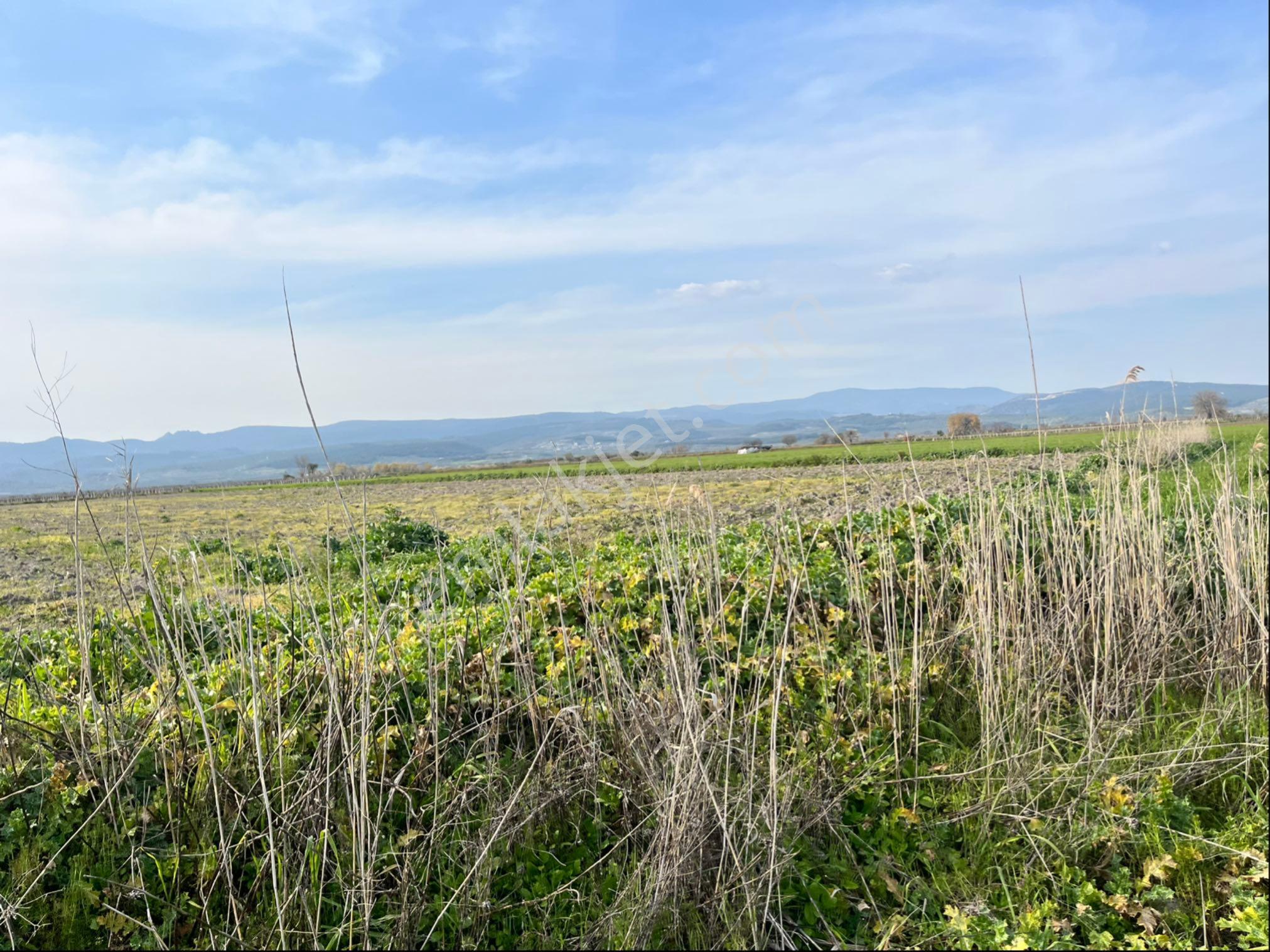 Paşaköy Tepecik Arası 14700m2 Tek Tapu Yolu Var Çiftlik Olur - Görsel 9