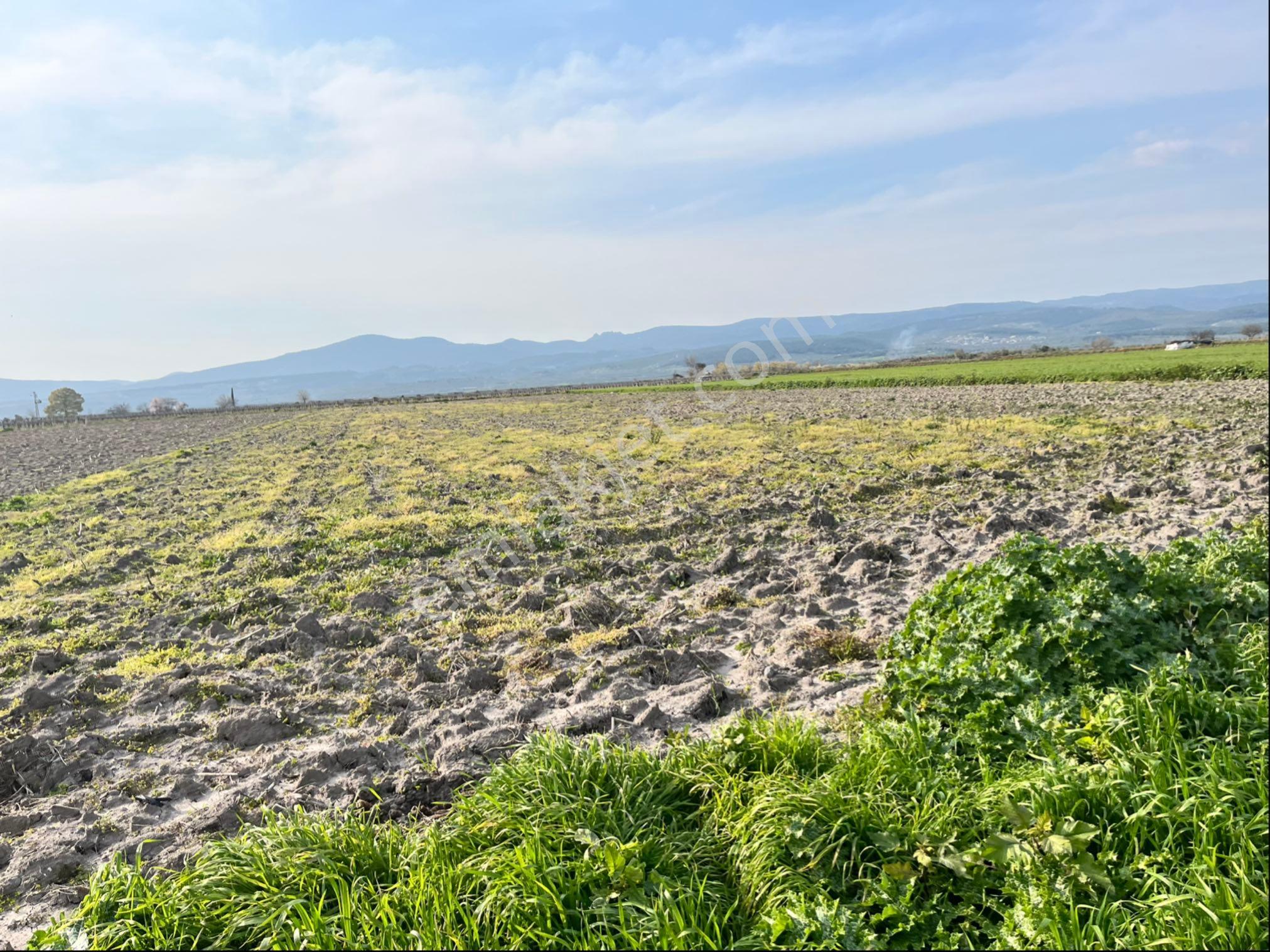 Paşaköy Tepecik Arası 14700m2 Tek Tapu Yolu Var Çiftlik Olur - Görsel 27