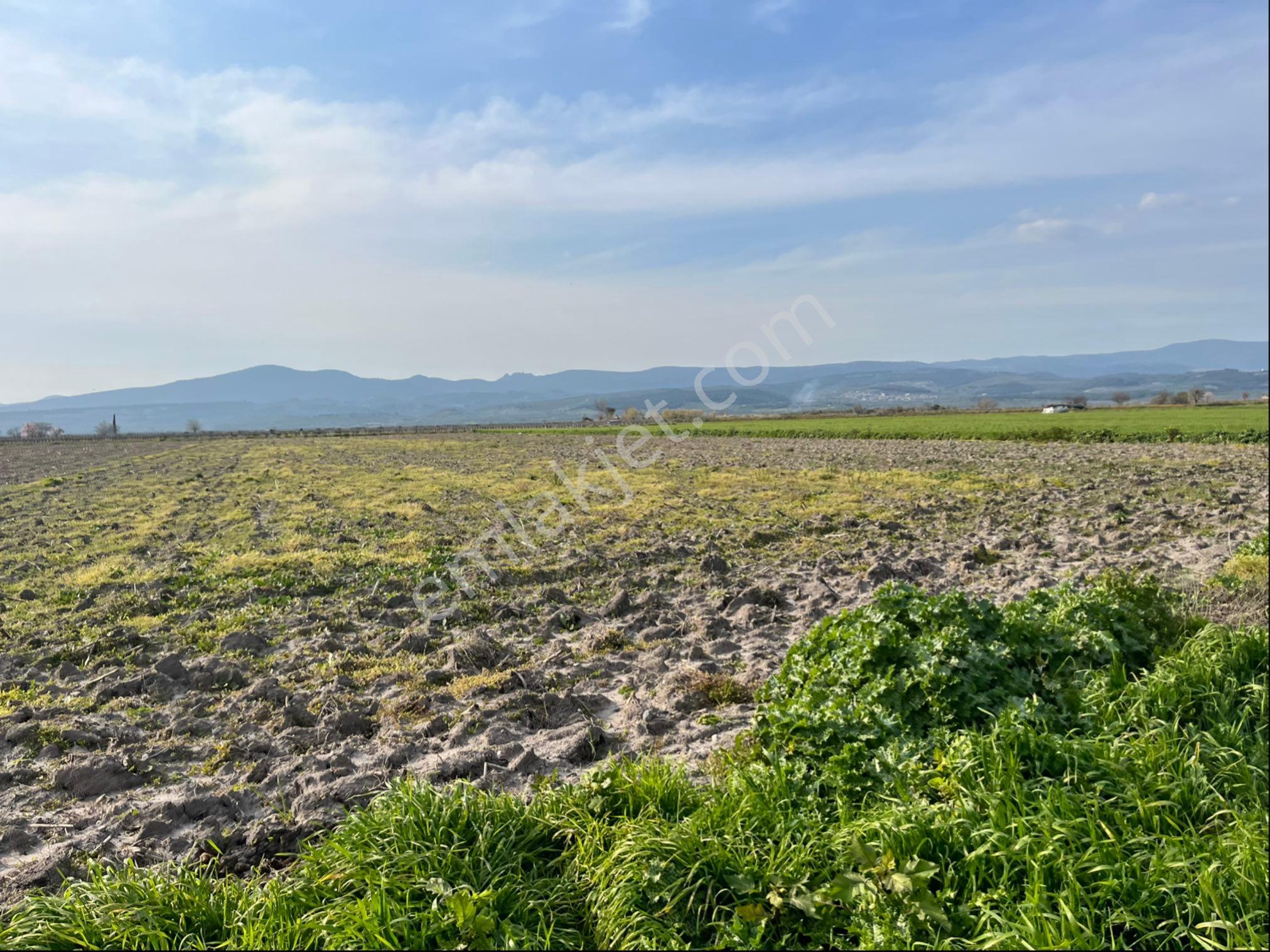 Paşaköy Tepecik Arası 14700m2 Tek Tapu Yolu Var Çiftlik Olur - Görsel 20