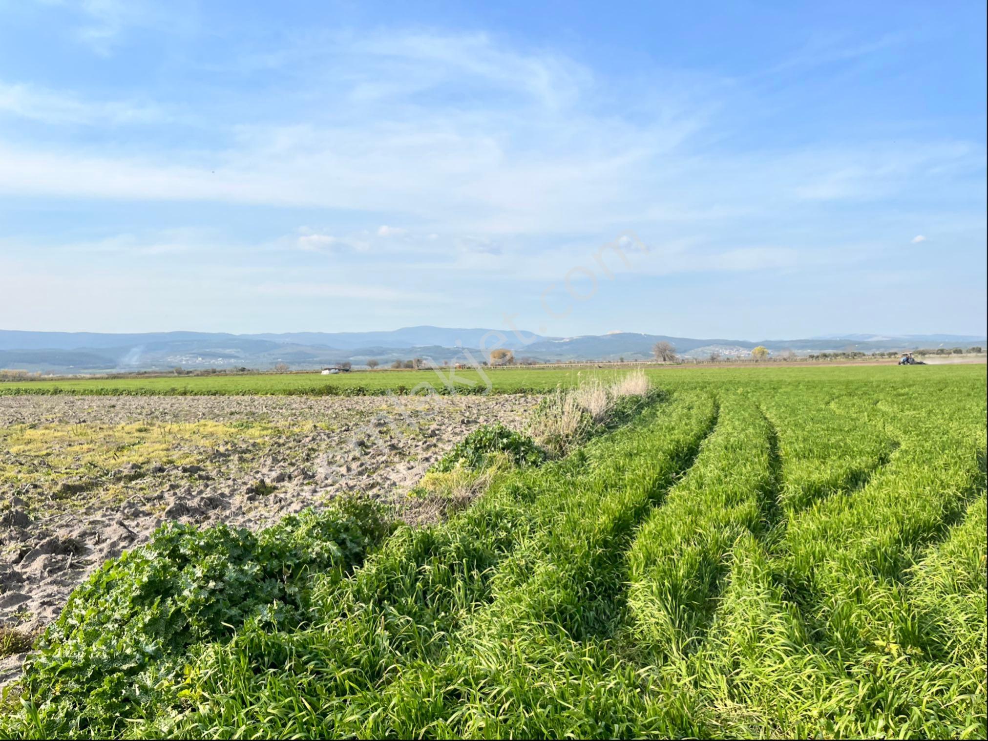 Paşaköy Tepecik Arası 14700m2 Tek Tapu Yolu Var Çiftlik Olur - Görsel 17