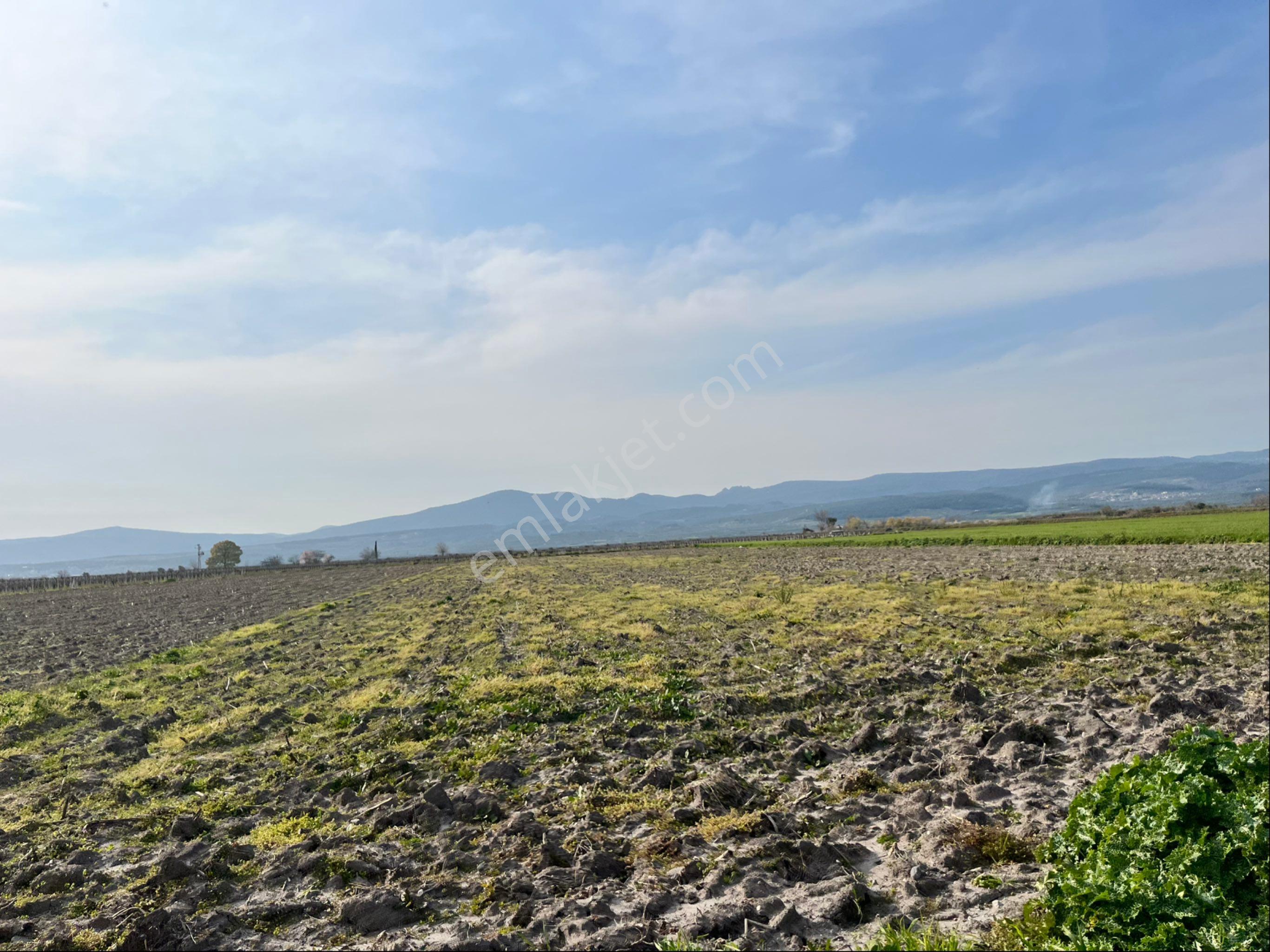 Paşaköy Tepecik Arası 14700m2 Tek Tapu Yolu Var Çiftlik Olur - Görsel 24