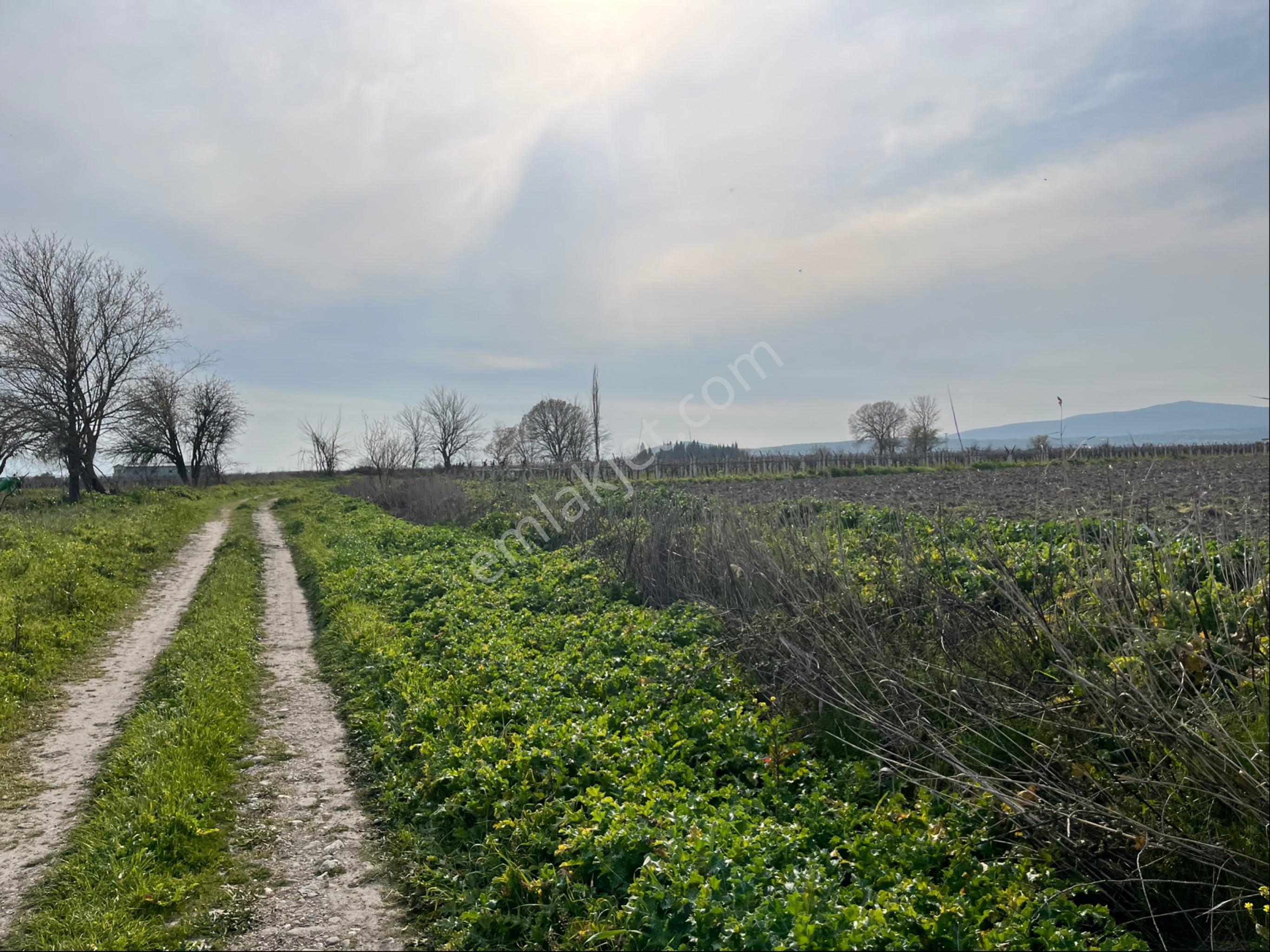 Paşaköy Tepecik Arası 14700m2 Tek Tapu Yolu Var Çiftlik Olur - Görsel 12