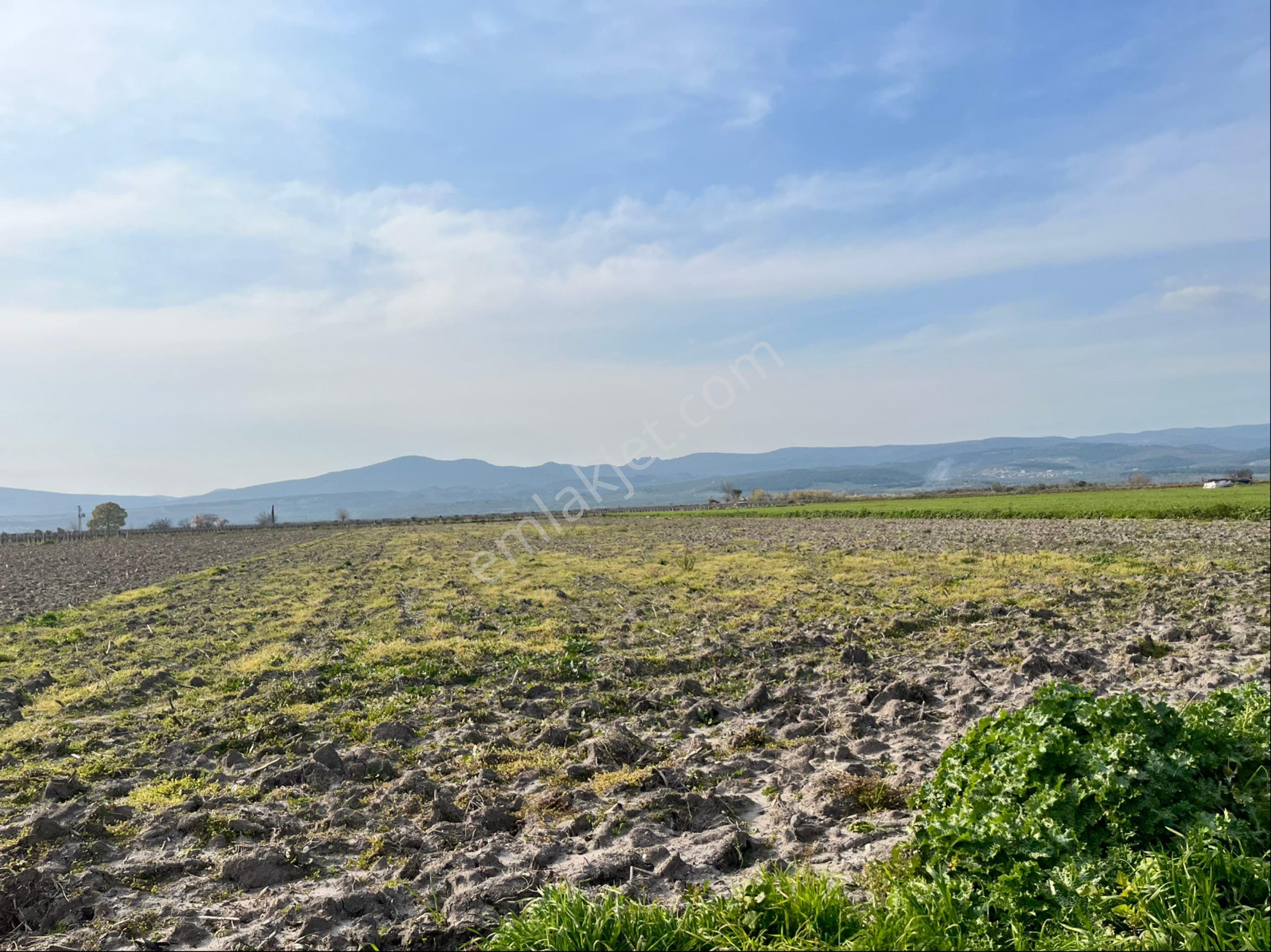 Paşaköy Tepecik Arası 14700m2 Tek Tapu Yolu Var Çiftlik Olur - Görsel 19
