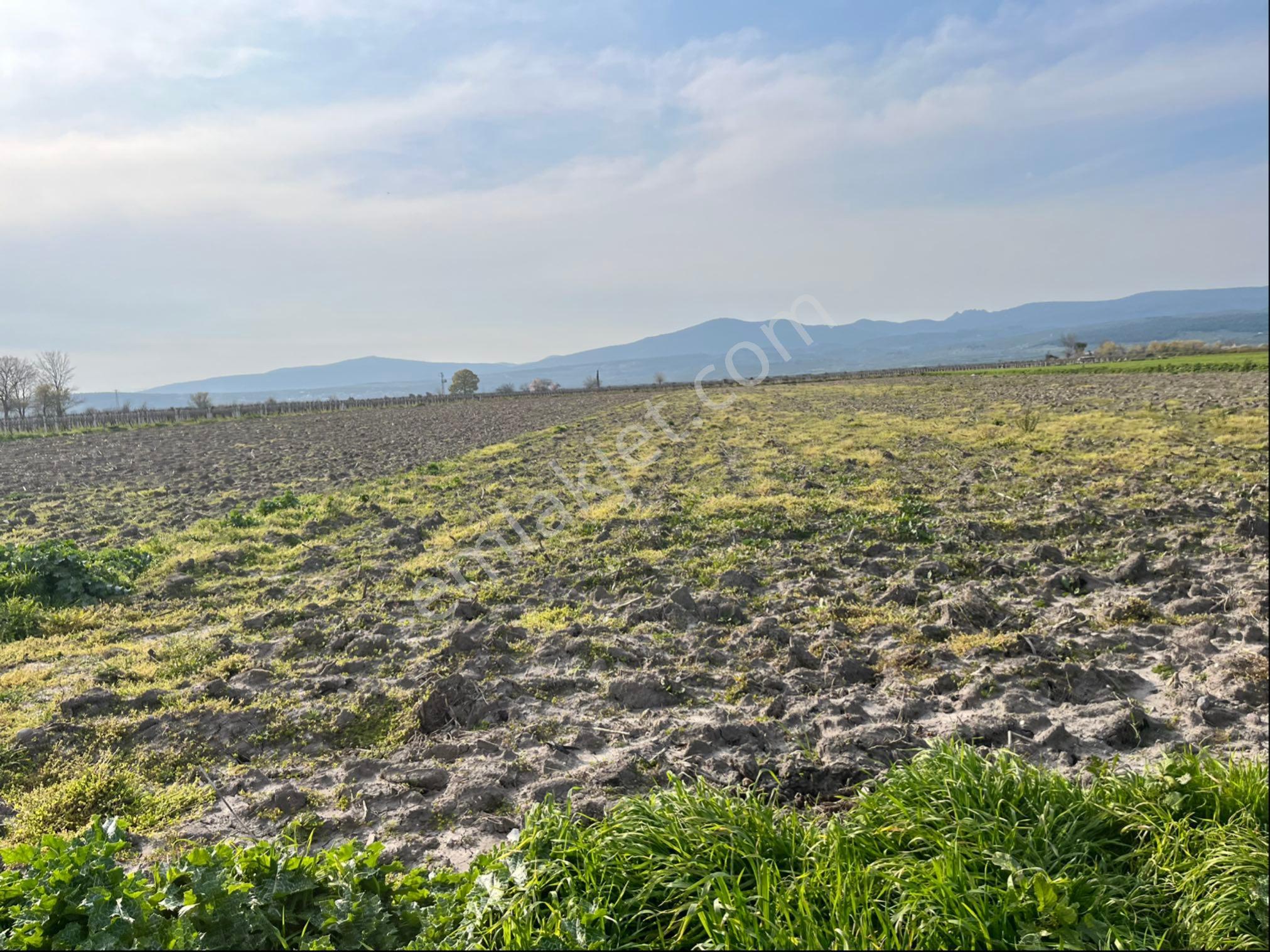 Paşaköy Tepecik Arası 14700m2 Tek Tapu Yolu Var Çiftlik Olur - Görsel 25