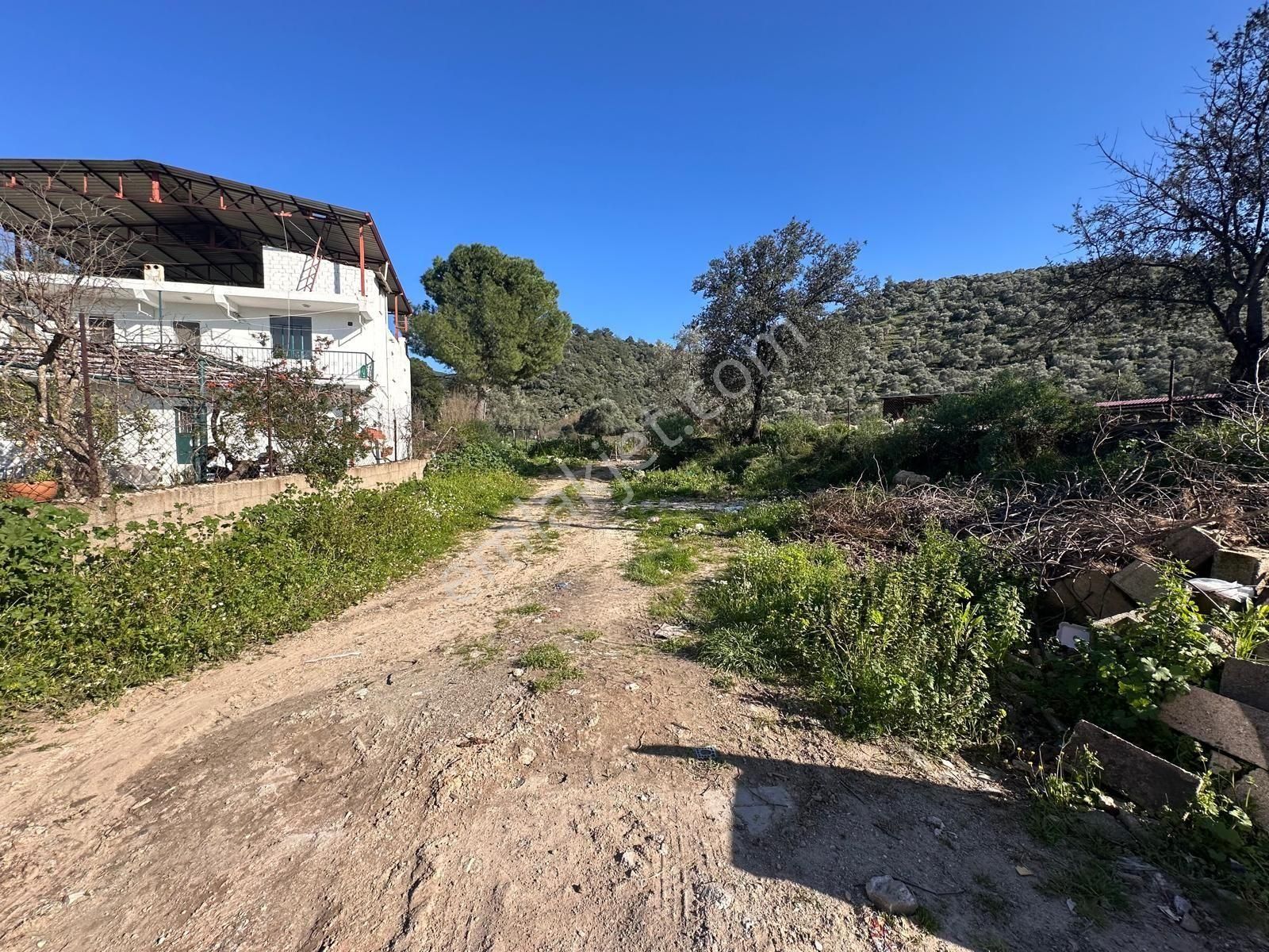 Milas Kırcağızda Köye Sıfır 1644m² Manzaralı Arsa - Görsel 6