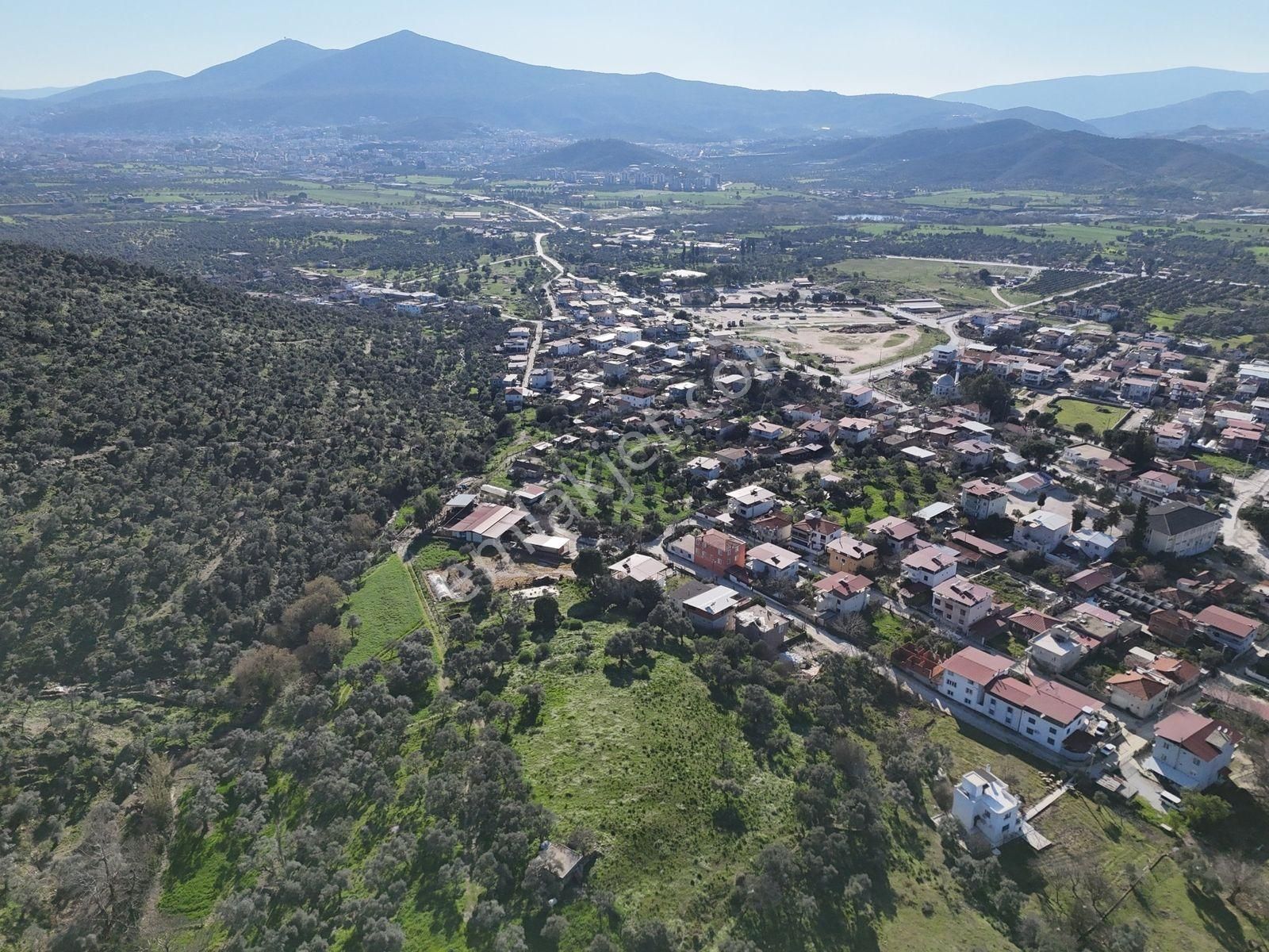 Milas Kırcağızda Köye Sıfır 1644m² Manzaralı Arsa - Görsel 5