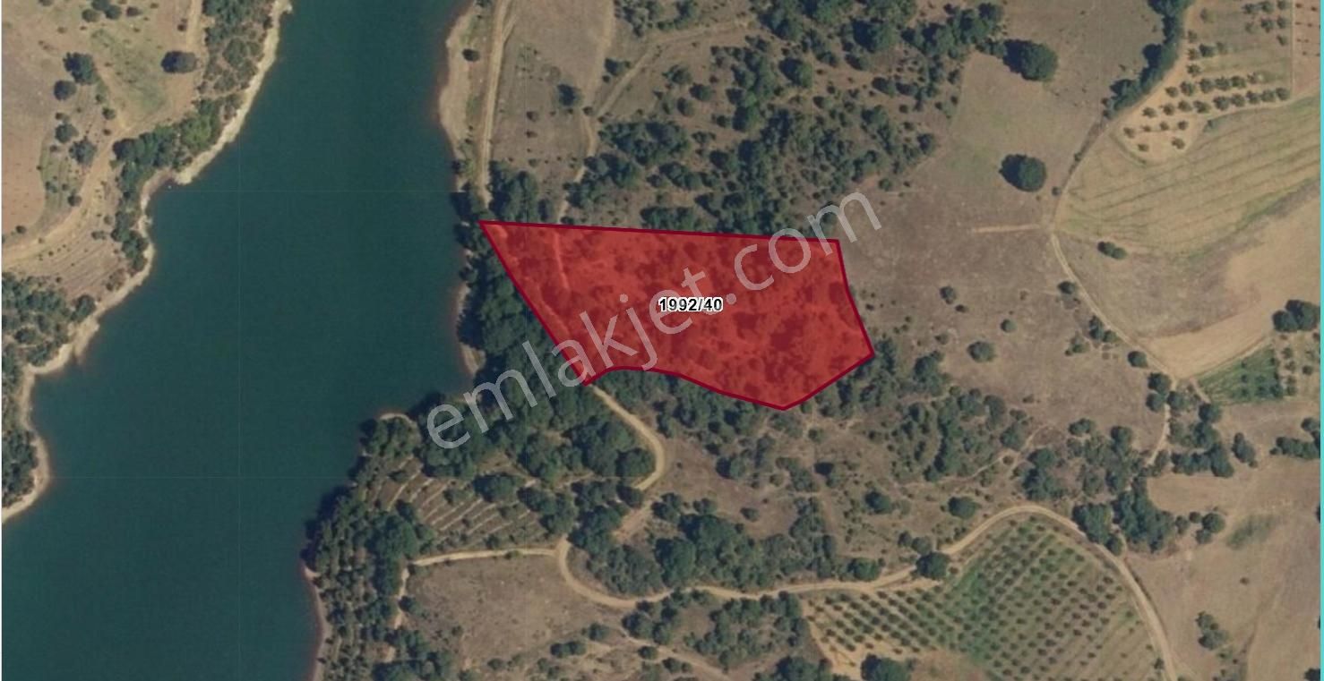 Bursa İznik Mahmudiye 8.000 M² Satılık Tarla - Görsel 4