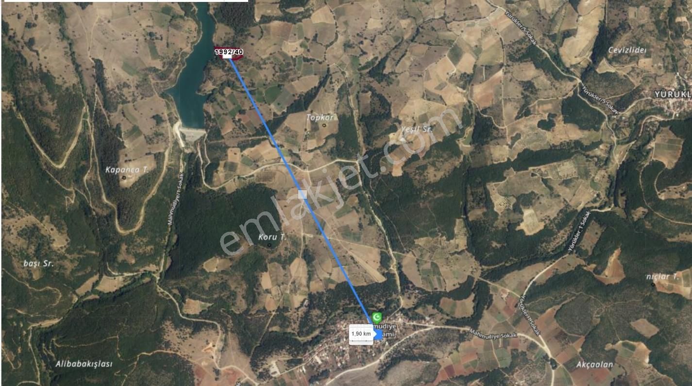 Bursa İznik Mahmudiye 8.000 M² Satılık Tarla - Görsel 2