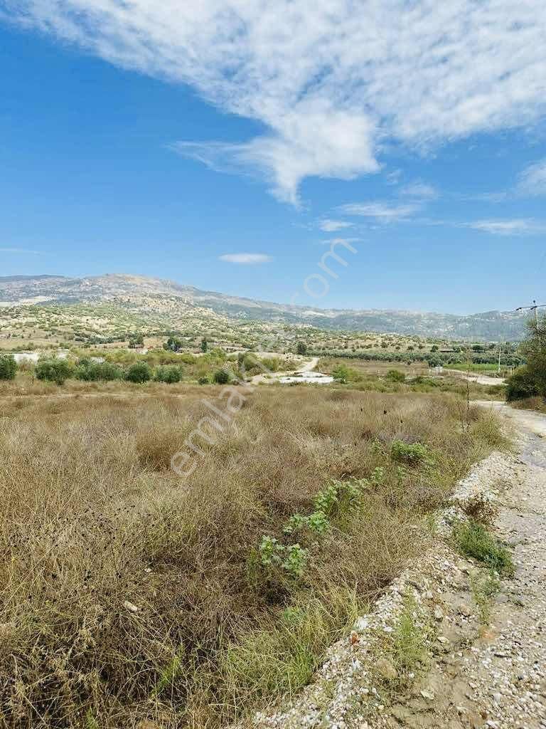 Muğla Yatağan Hisarardı Mah. Satılık 4.646 M2 Tarla - Görsel 12