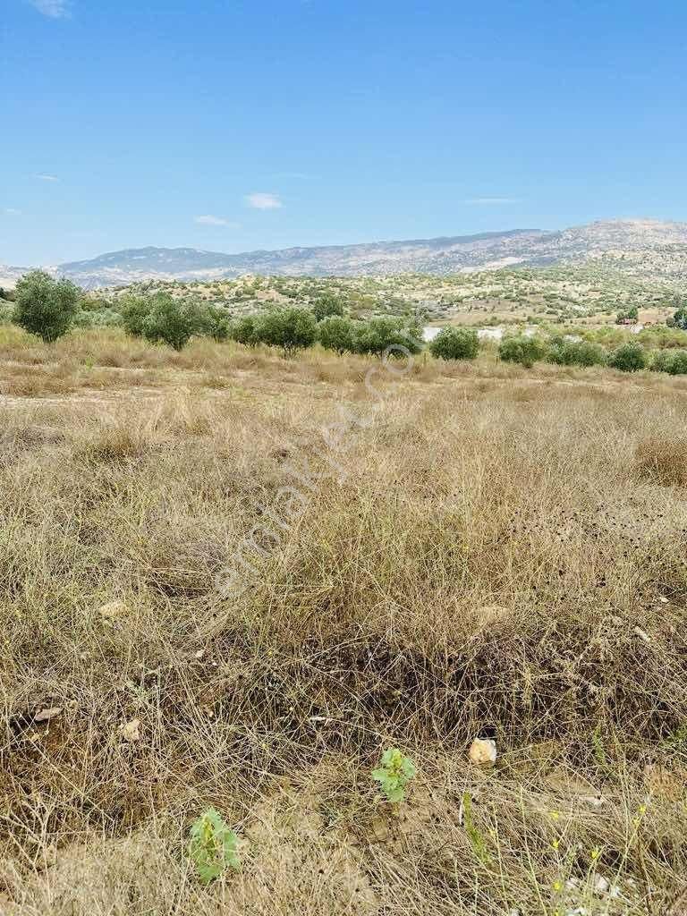 Muğla Yatağan Hisarardı Mah. Satılık 4.646 M2 Tarla - Görsel 10