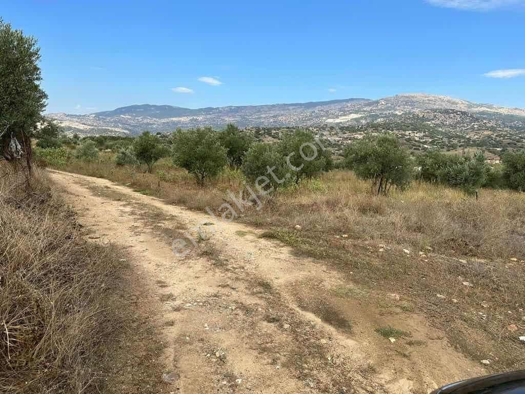 Muğla Yatağan Hisarardı Mah. Satılık 4.646 M2 Tarla - Görsel 8
