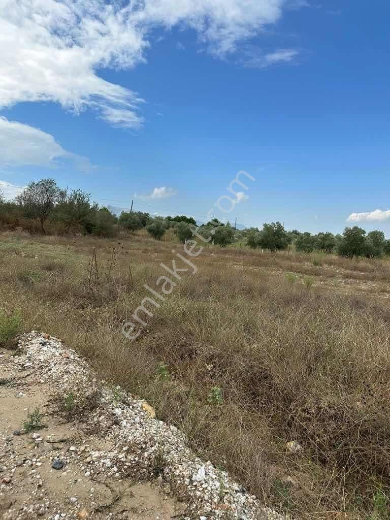 Muğla Yatağan Hisarardı Mah. Satılık 4.646 M2 Tarla - Görsel 5