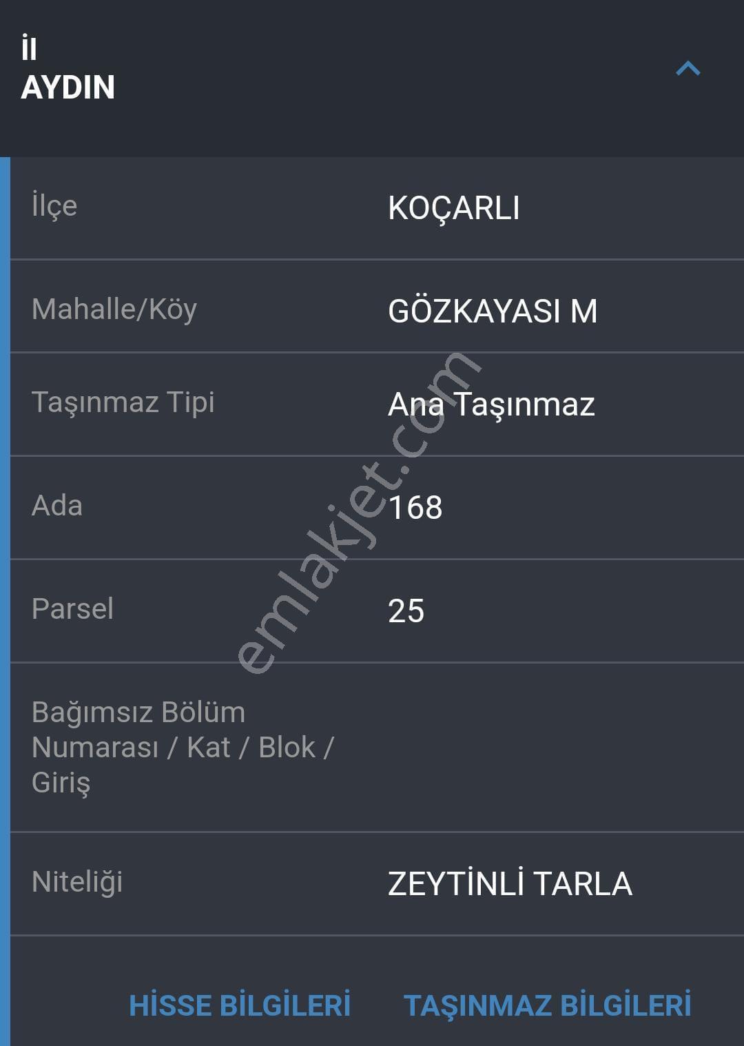Akinitadan Aydın Koçarlı Gözkayası'nda Satılık Verimli Zeytinlik🌿 - Görsel 10