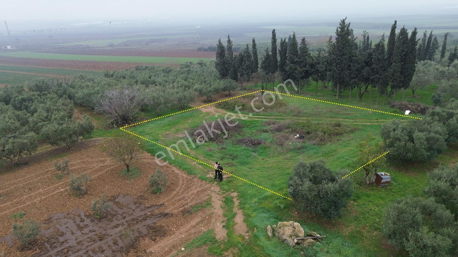 Sevinç'ten Acil !!! Kuşcennetinde Yerleşime Yakın 1.100 M² Arazi - Görsel 19