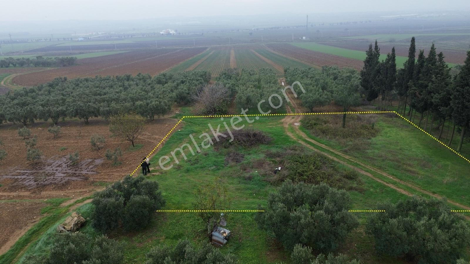 Sevinç'ten Acil !!! Kuşcennetinde Yerleşime Yakın 1.100 M² Arazi - Görsel 18