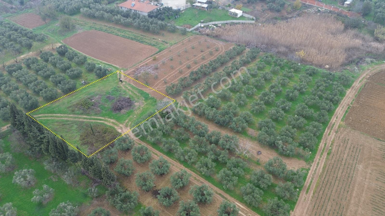 Sevinç'ten Acil !!! Kuşcennetinde Yerleşime Yakın 1.100 M² Arazi - Görsel 7