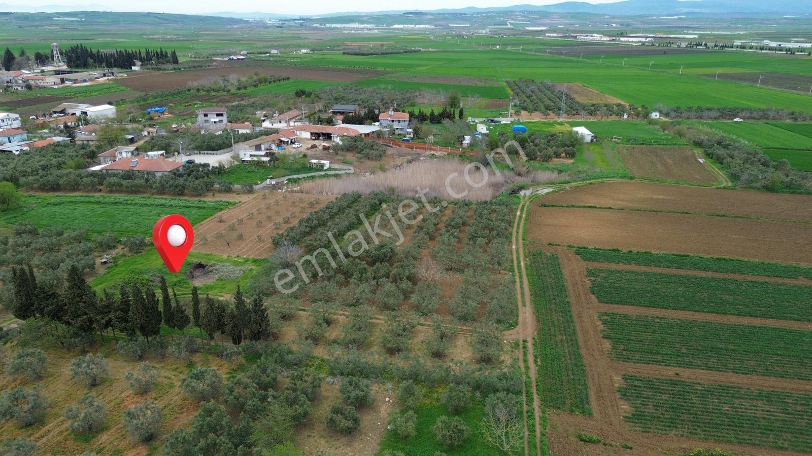 Sevinç'ten Acil !!! Kuşcennetinde Yerleşime Yakın 1.100 M² Arazi - Görsel 33