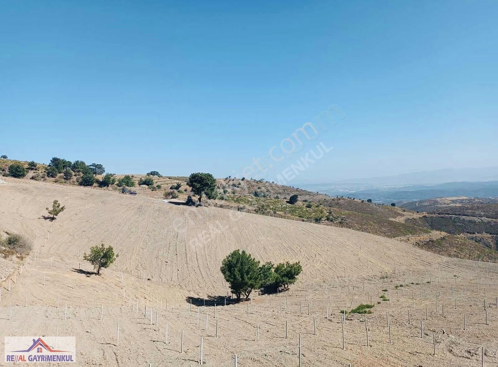 Real'den Efemçukurunda Hisse Tapulu Mahçe - Görsel 3