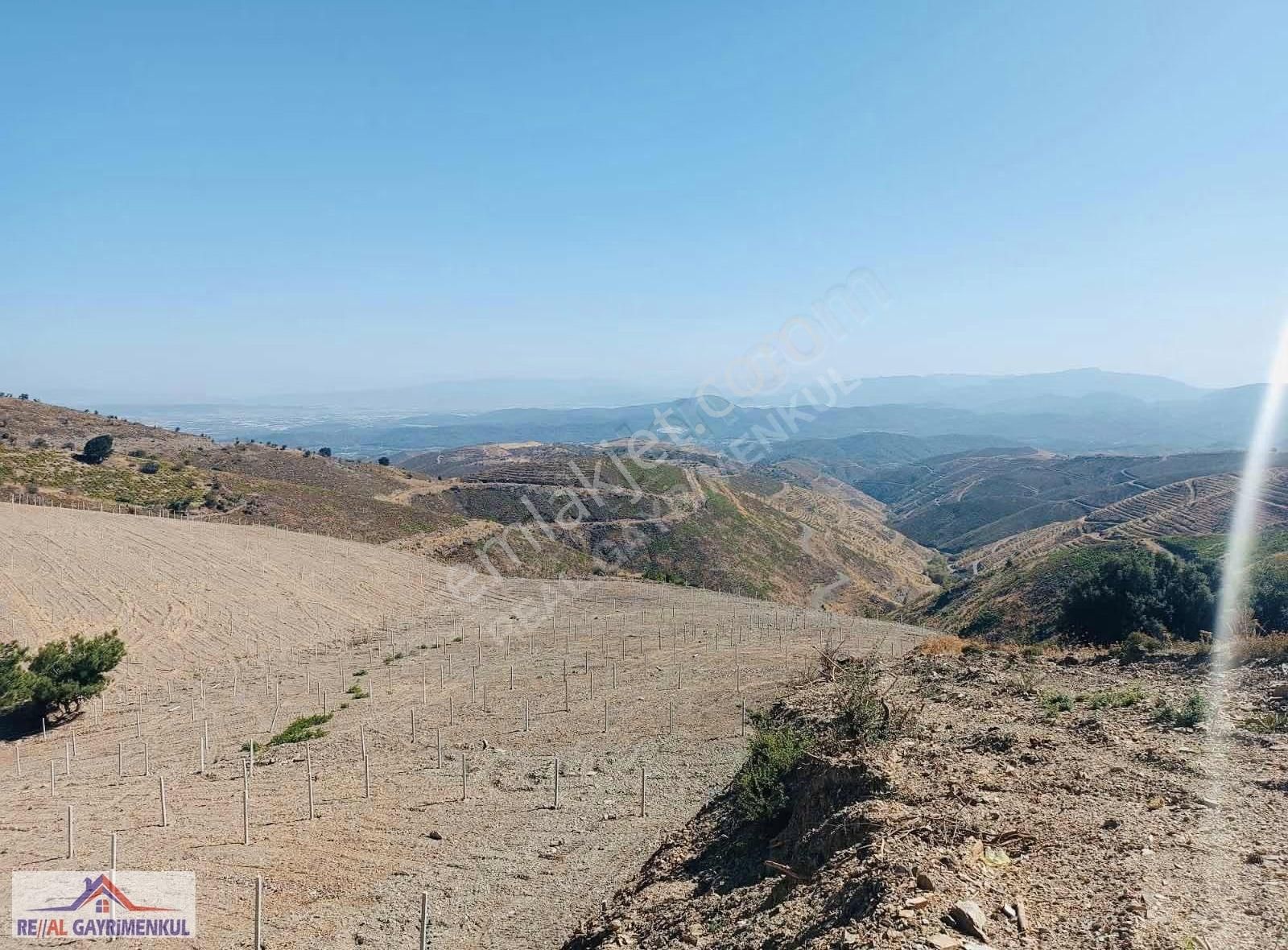 Real'den Efemçukurunda Hisse Tapulu Mahçe - Görsel 2