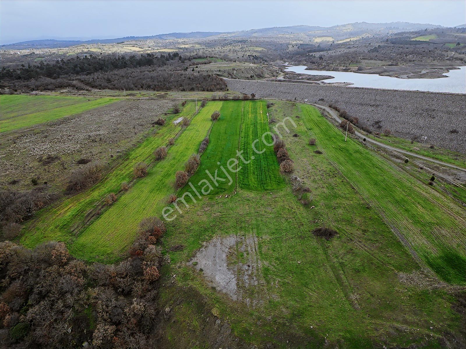 Doğanın İçinde Satılık 8.540m2 Tarla Hissesi (dağ,göl,ova) - Görsel 22