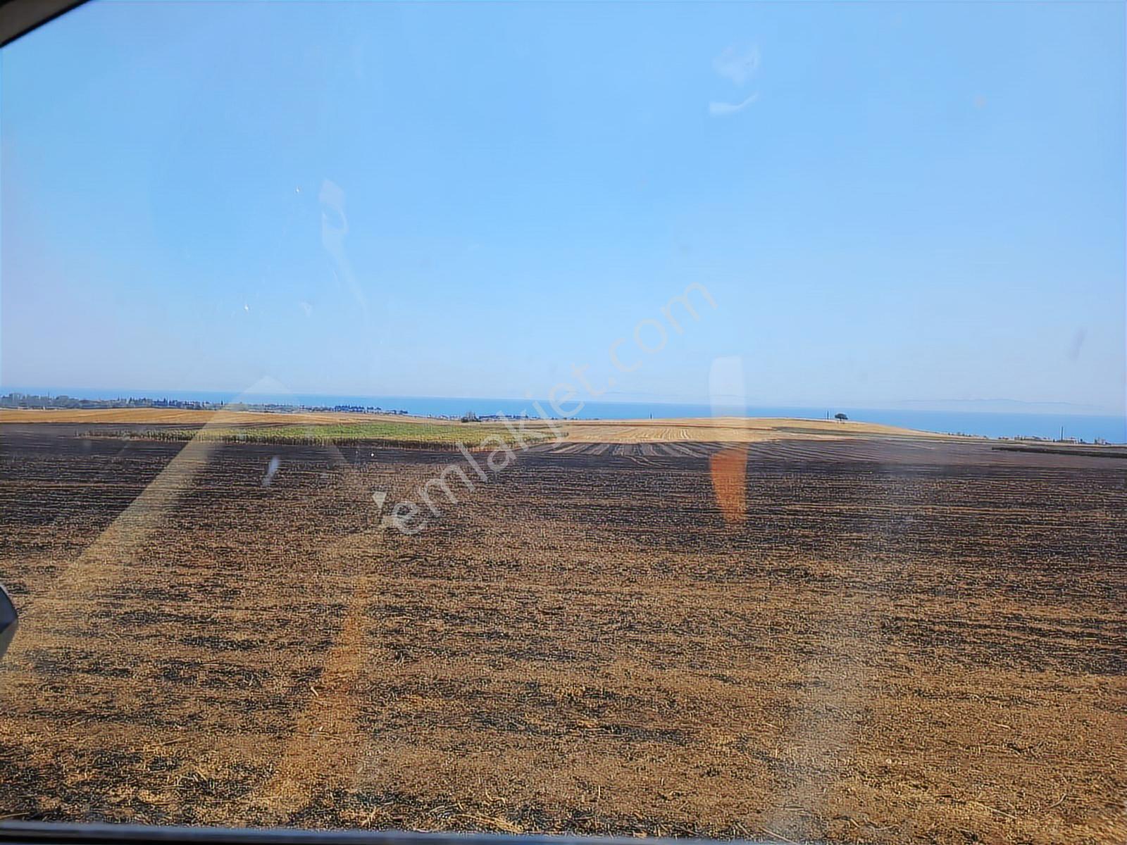 Tekirdağ Marmaraereğlisi Çeşmelide 272 12 Parsel Hisseli Yerimiz - Görsel 6