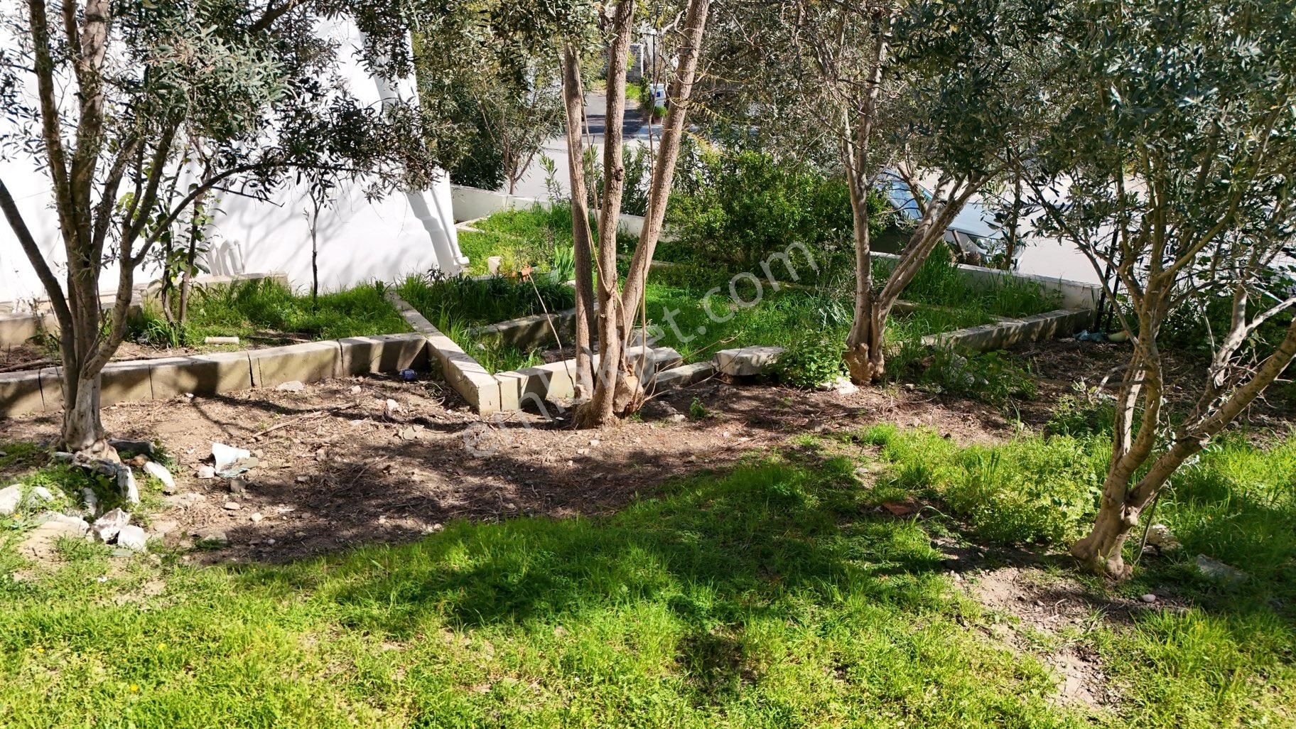 Bodrum Bitezde Ayrı Mutfak Fırsat Bahçe Katı Daire - Görsel 3