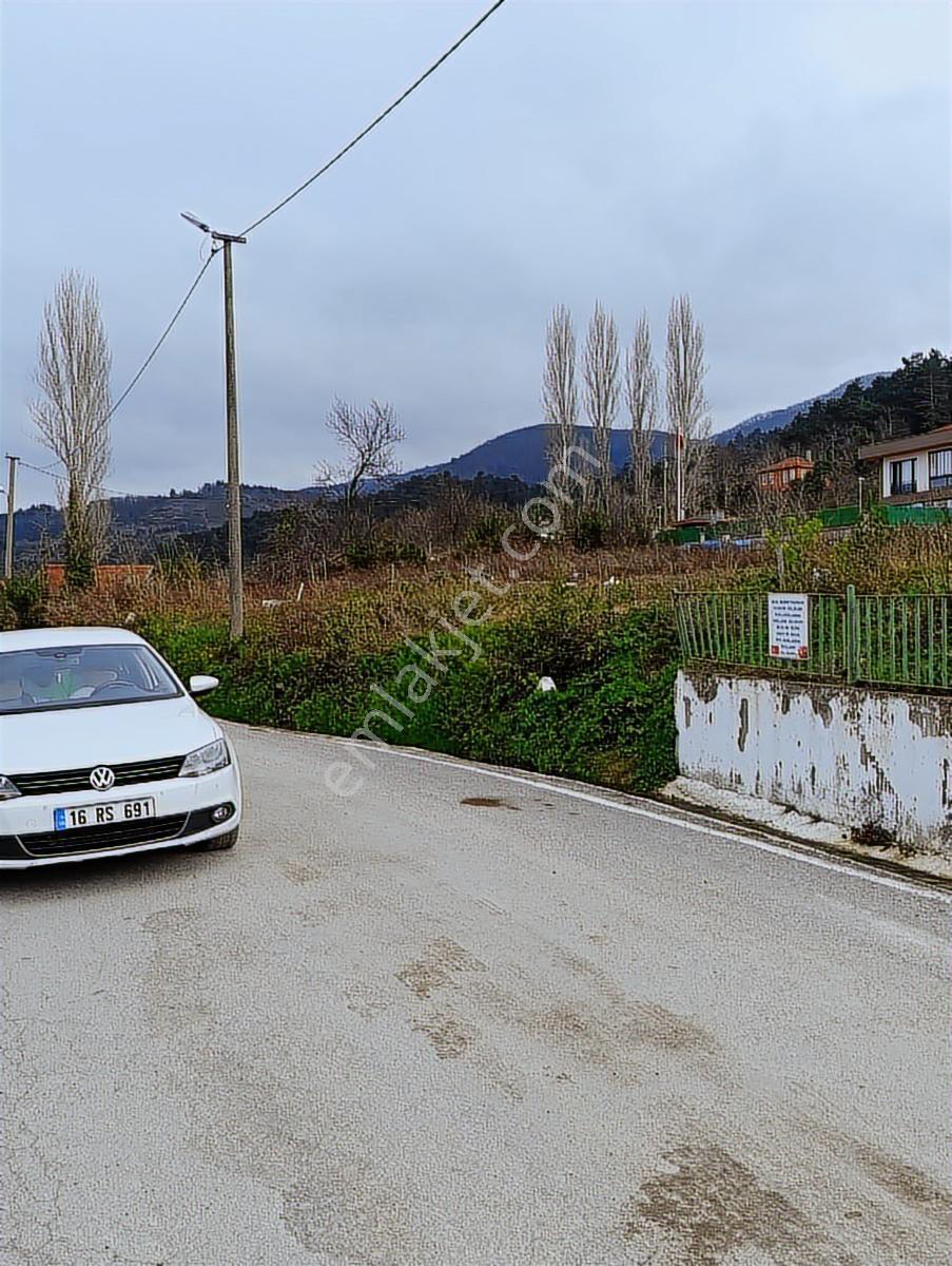*zeybek*"inebolu Liman +deniz Manzarali Villa+konut İmarli Arsa - Görsel 2