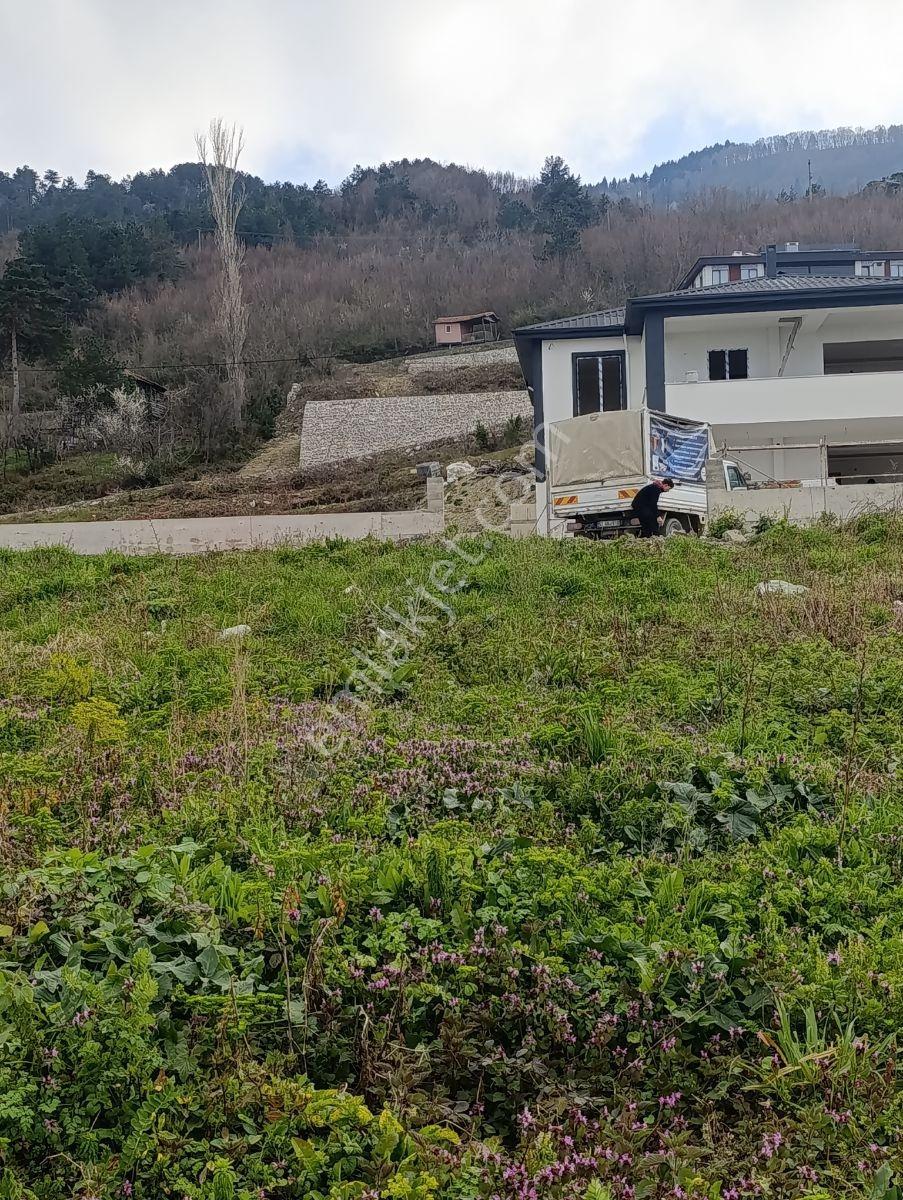*zeybek*"inebolu Liman +deniz Manzarali Villa+konut İmarli Arsa - Görsel 27