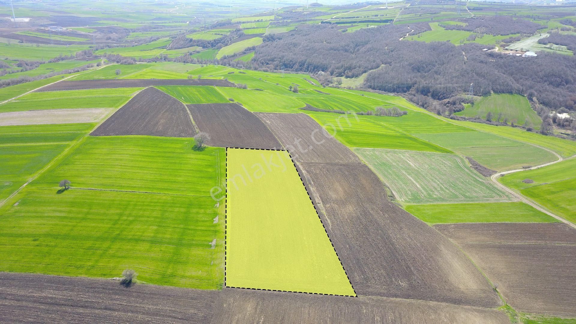 Silivri Büyüksinekli’de 12.600 M² Tarla - Görsel 7