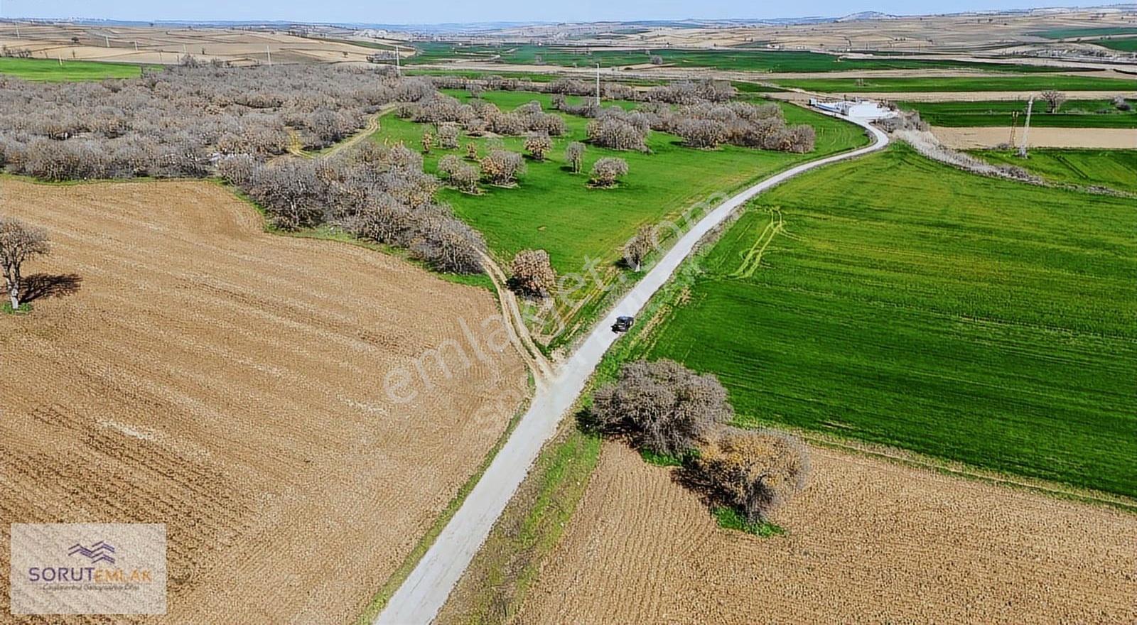Edirne Keşan İstasyon Mahallesinde Satılık 20.170 M² Tarla - Görsel 25