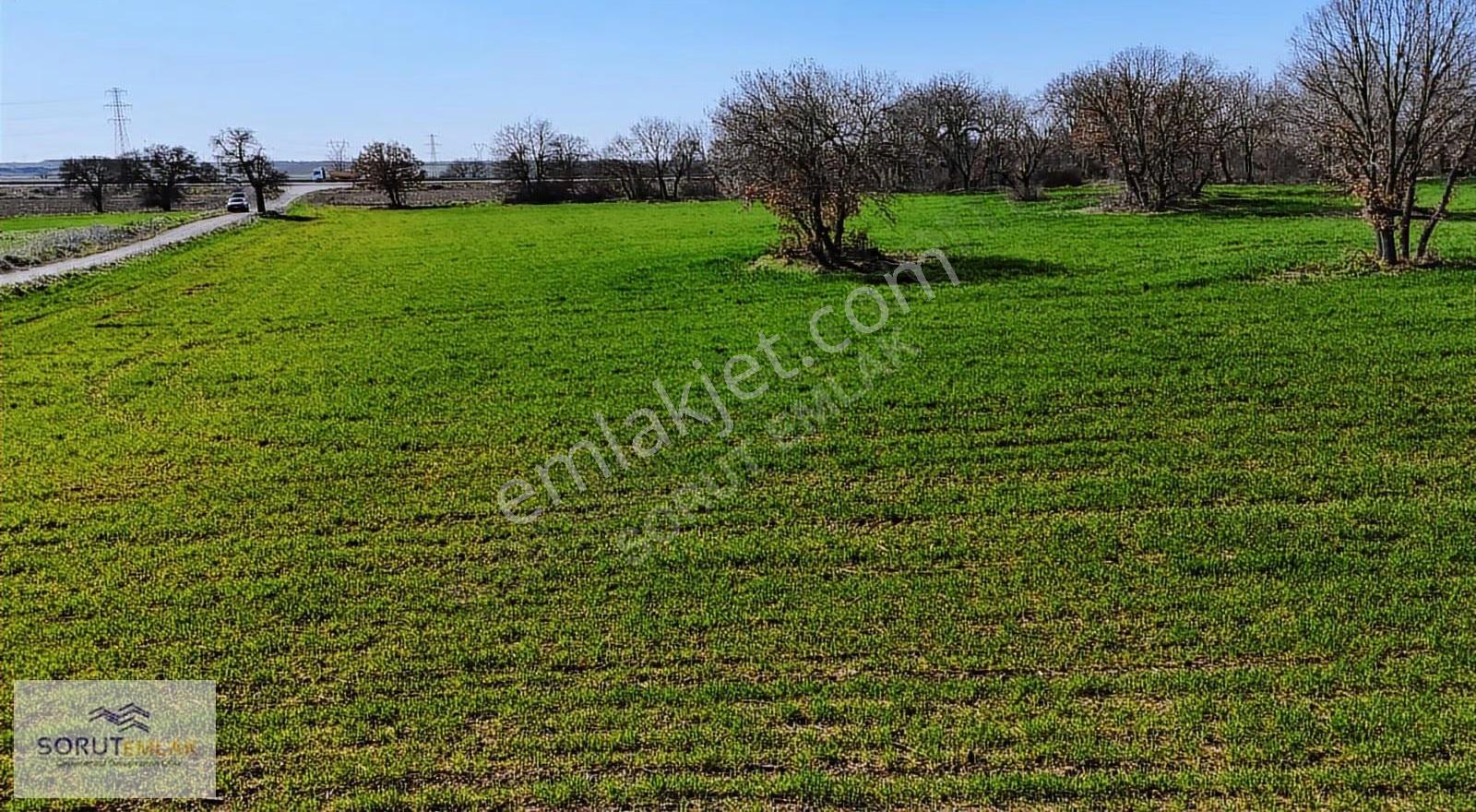 Edirne Keşan İstasyon Mahallesinde Satılık 20.170 M² Tarla - Görsel 23