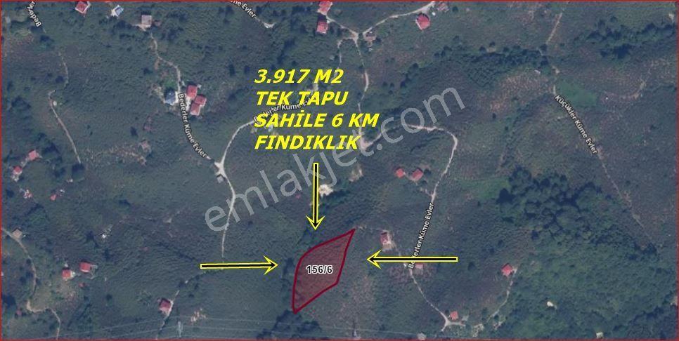 Trabzon,arsin Çiçekli Tek Tapu 3.917 M2 - Görsel 7