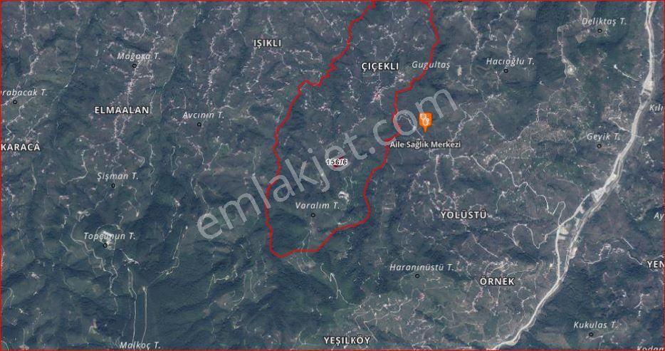 Trabzon,arsin Çiçekli Tek Tapu 3.917 M2 - Görsel 4