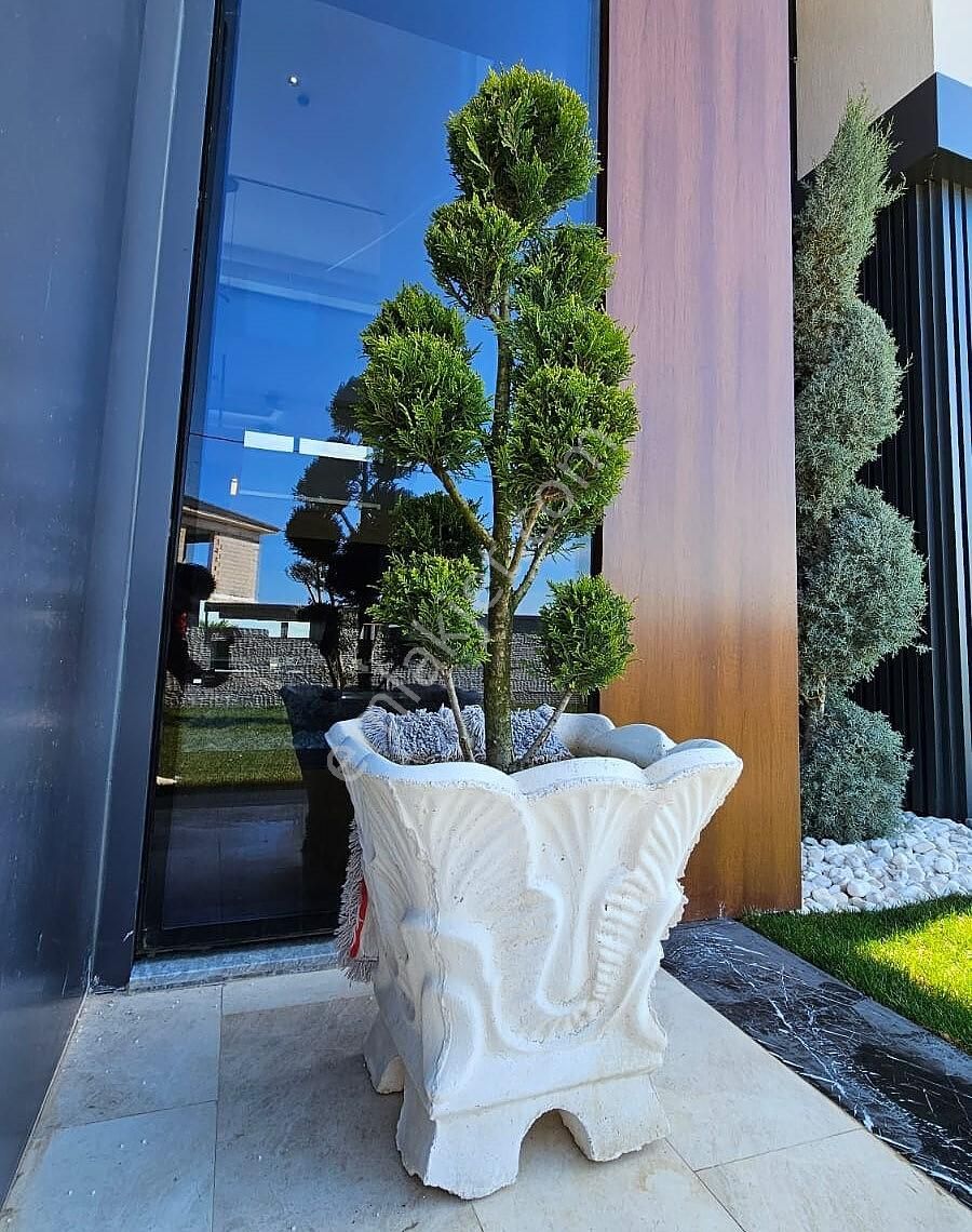 İzmir Foça'da Geniş Arsalı Havuzlu Şık Müstakil Villa - Görsel 13