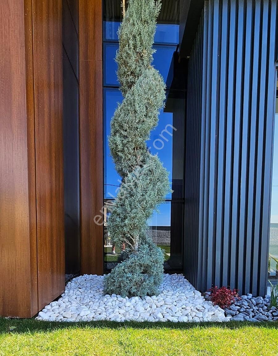 İzmir Foça'da Geniş Arsalı Havuzlu Şık Müstakil Villa - Görsel 12