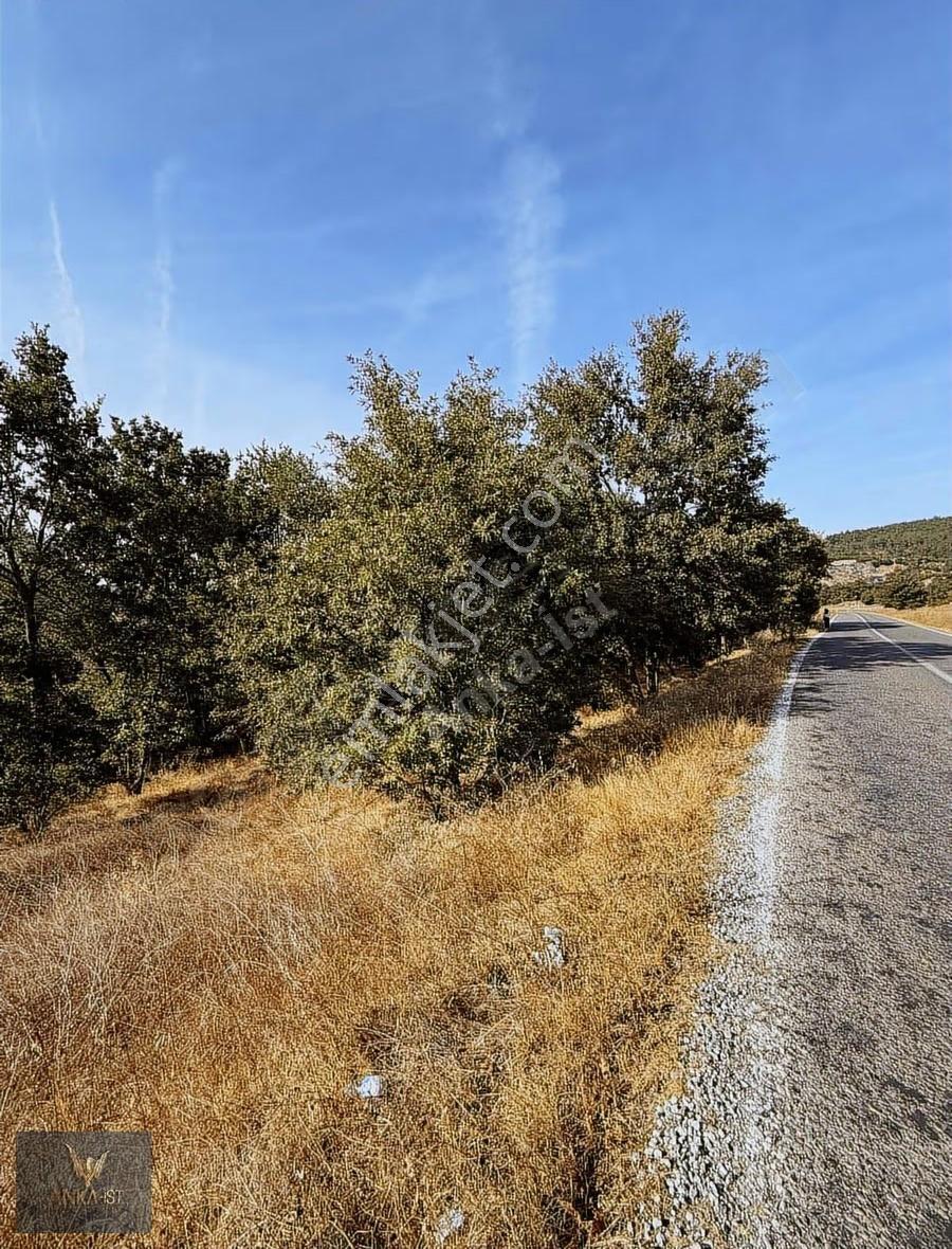 Balıkesir İvrindi Büyükyenice'de Satılık 1.734 M2 Arsa - Görsel 5