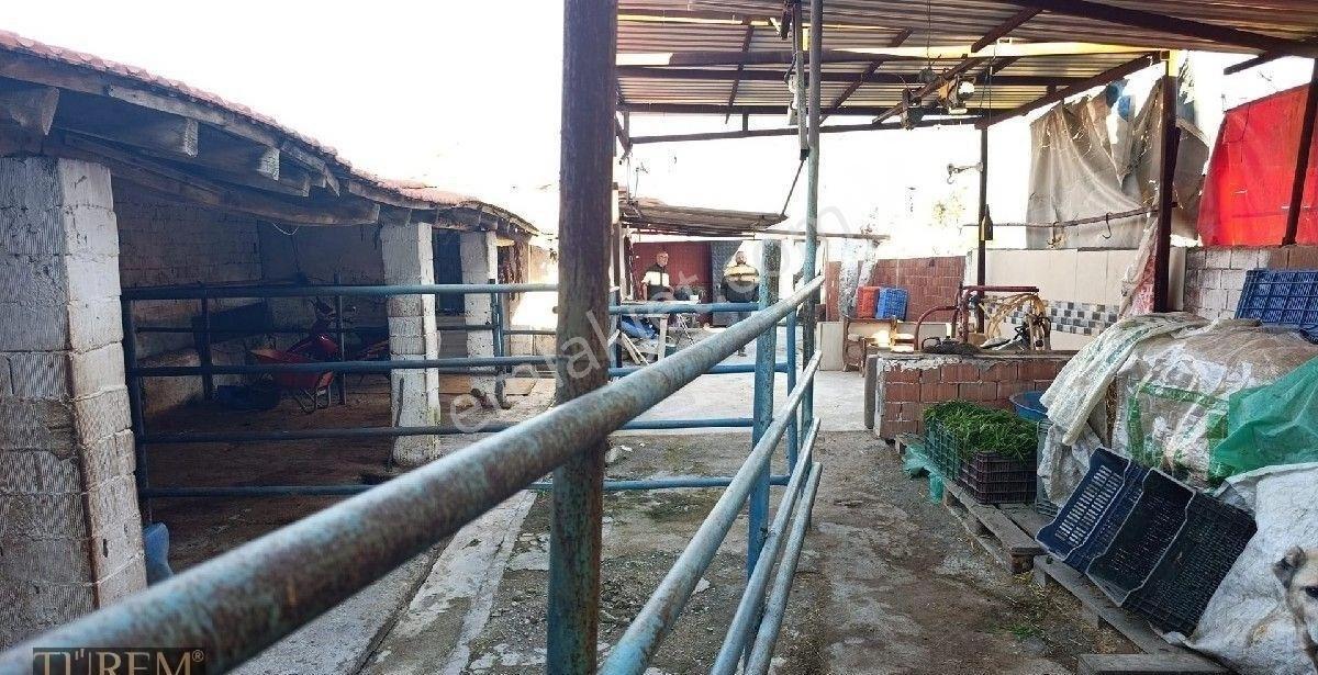 Müstakil Çiftlik Evi Ve Arsası - Görsel 8