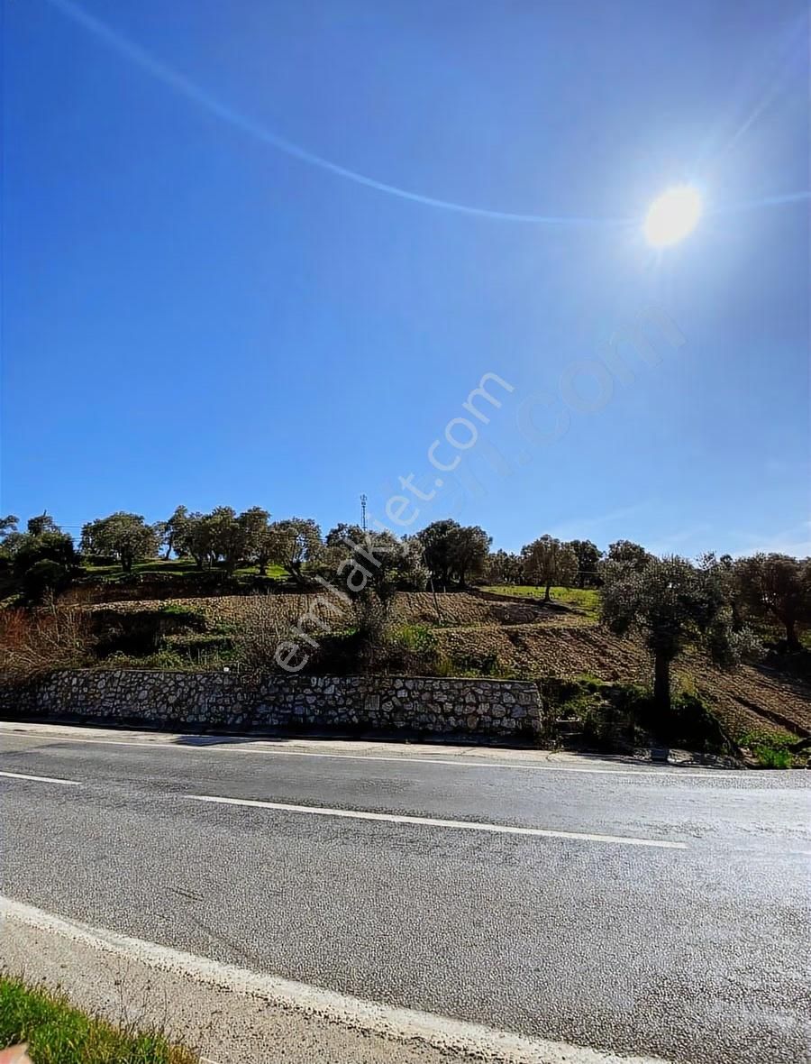 My - Muğla Yoluna Sıfır 776m Arazi / 48m Yol Cephesi Çift Cephe - Görsel 6