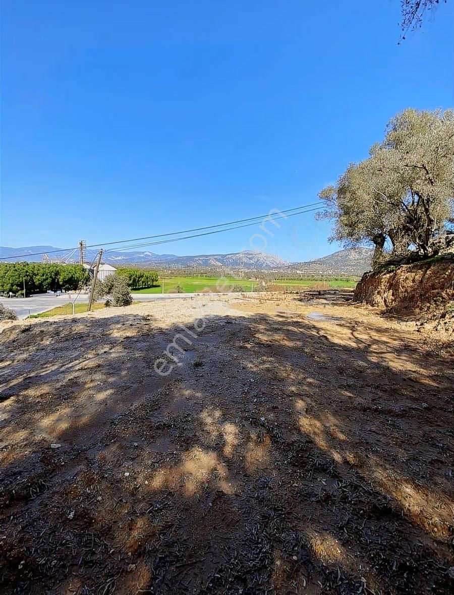 My - Muğla Yoluna Sıfır 776m Arazi / 48m Yol Cephesi Çift Cephe - Görsel 4