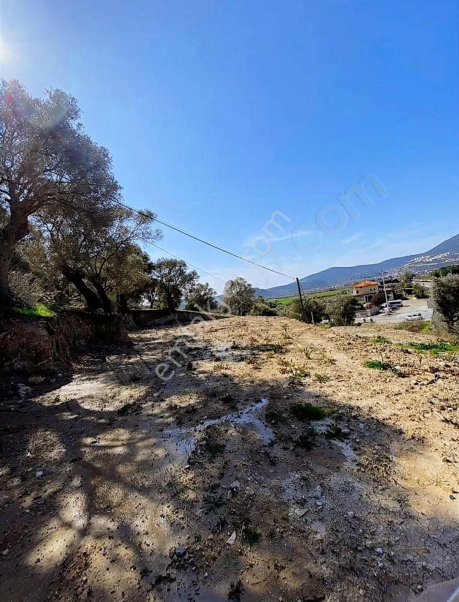 My - Muğla Yoluna Sıfır 776m Arazi / 48m Yol Cephesi Çift Cephe - Görsel 2