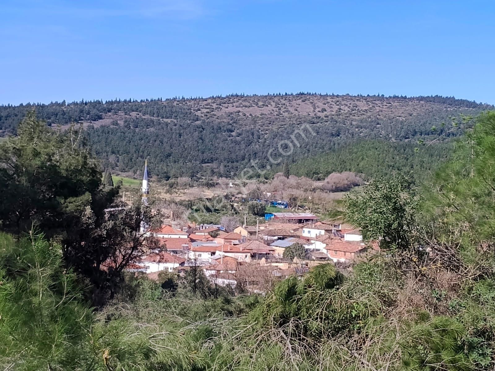 Acil Kınık Değirmencieli'nde Köy Kenarı 7 Dekar Tarla - Görsel 7