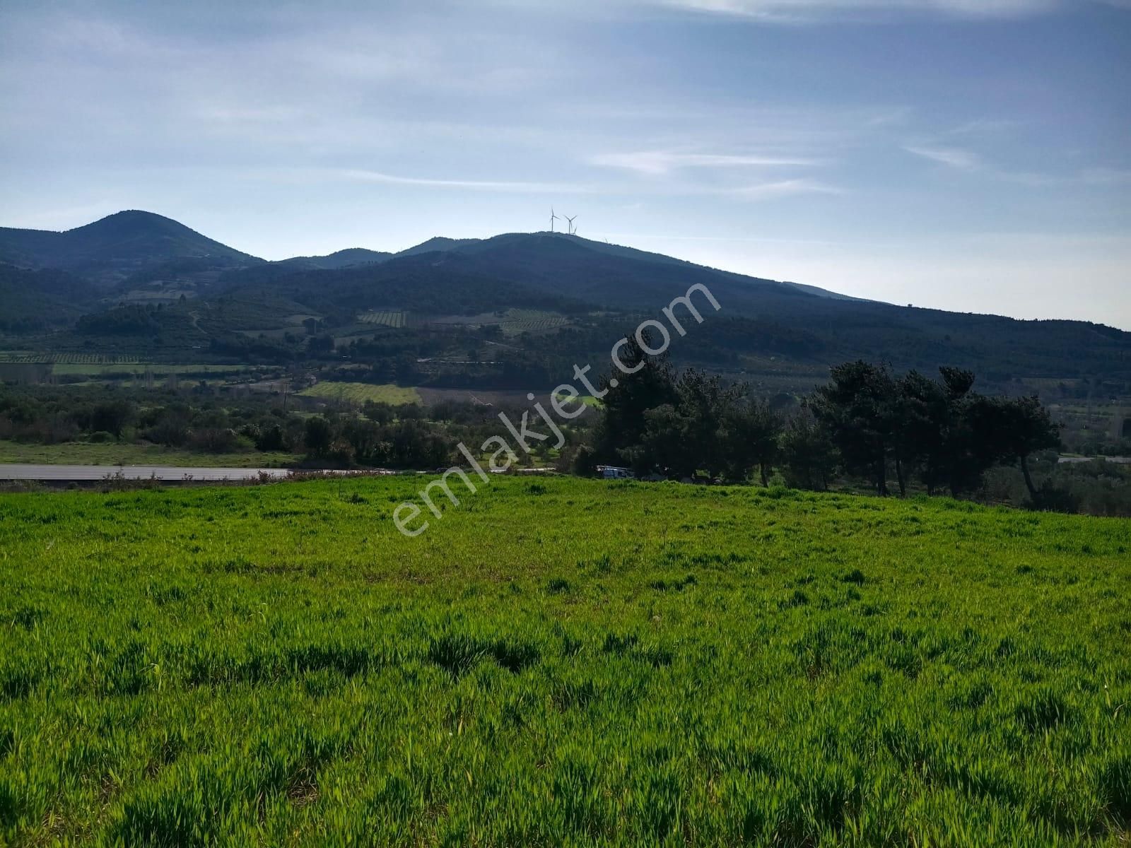 Acil Kınık Değirmencieli'nde Köy Kenarı 7 Dekar Tarla - Görsel 24