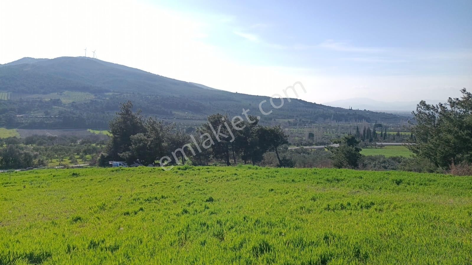 Acil Kınık Değirmencieli'nde Köy Kenarı 7 Dekar Tarla - Görsel 15