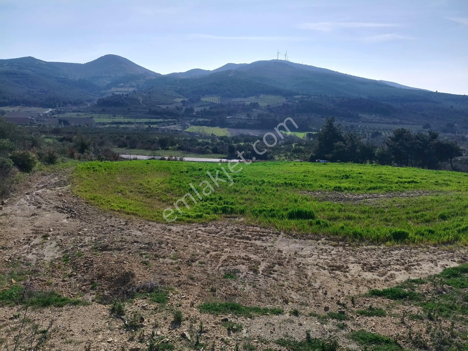 Acil Kınık Değirmencieli'nde Köy Kenarı 7 Dekar Tarla - Görsel 5