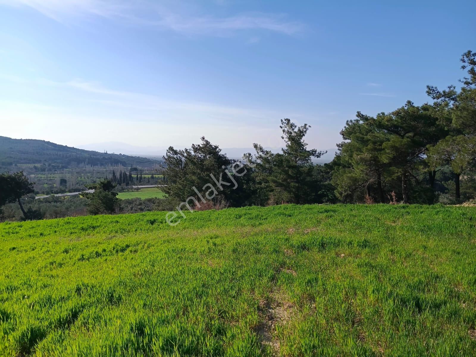 Acil Kınık Değirmencieli'nde Köy Kenarı 7 Dekar Tarla - Görsel 13