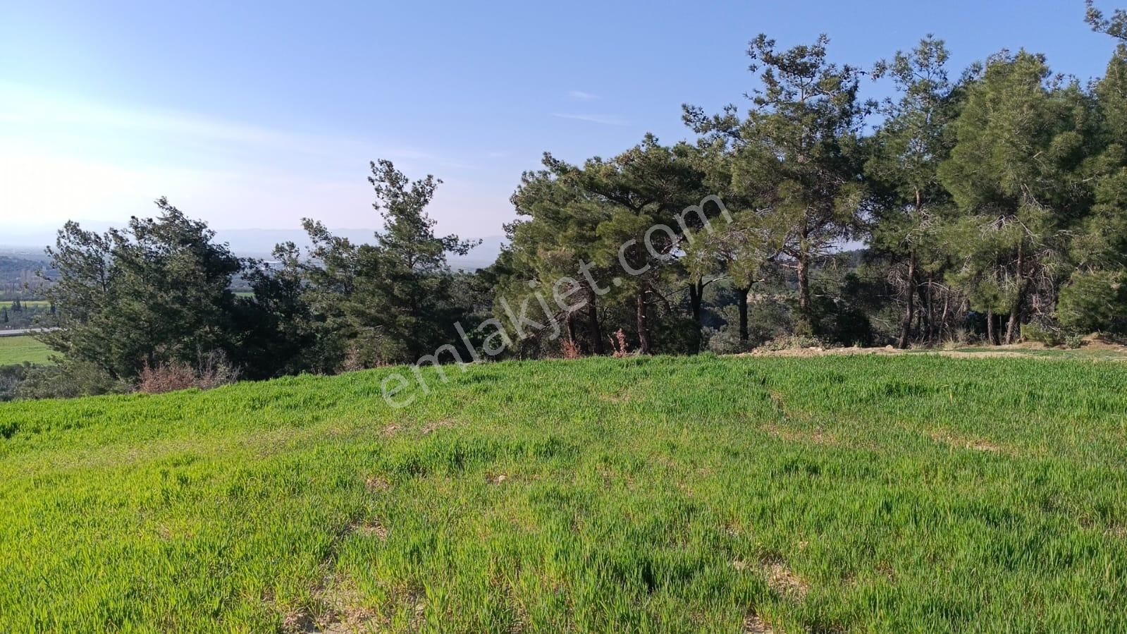 Acil Kınık Değirmencieli'nde Köy Kenarı 7 Dekar Tarla - Görsel 10